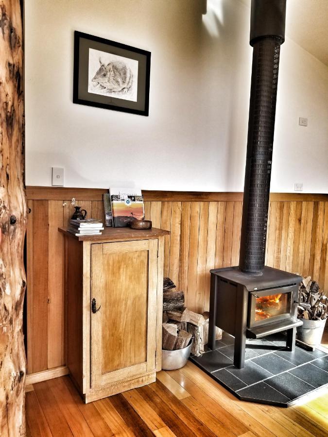 Southern Forest Accommodation Southport Экстерьер фото
