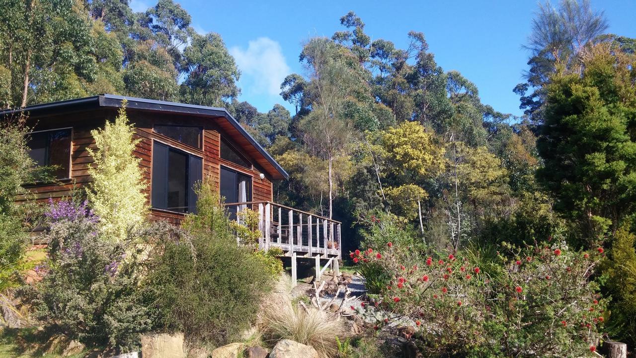 Southern Forest Accommodation Southport Экстерьер фото